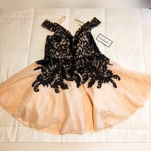 Bee Darlin Formal/Cocktail Dress Size: 15/16